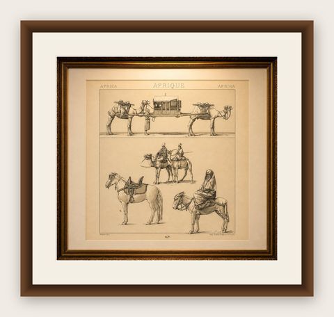 African Transport & Camel Litter, Racinet Afrique Plate, 1888, shown framed