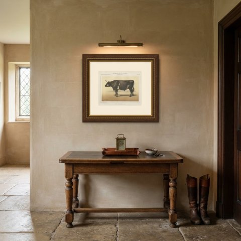 Normandy Ox, French Cattle Breed, Antique Chromolithograph by Borie, 1863, shown framed in a room