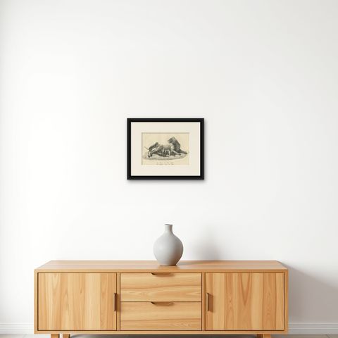 Original Antique Print of a Lioness and Her Cubs, shown framed on a wall