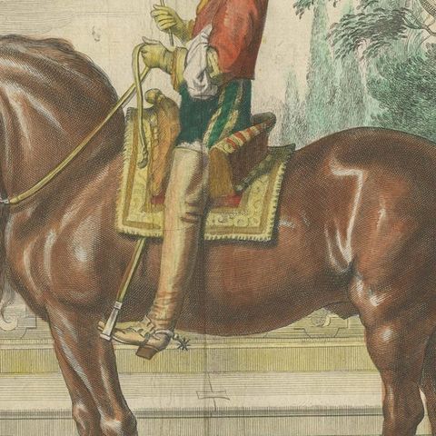 Equestrian Dressage Horse Print Original Handcolored Antique Engraving , 1743, close-up 5