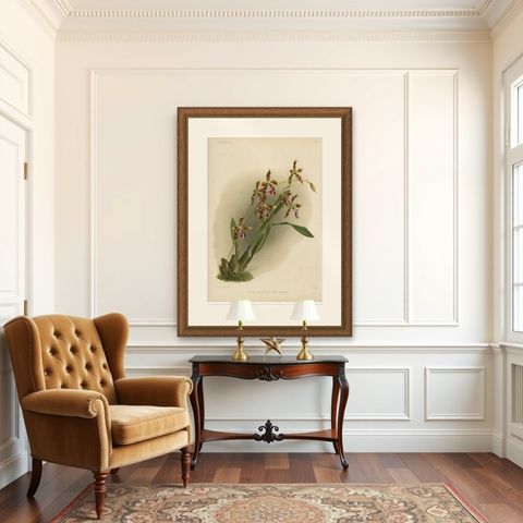 Antique Botanical Print, Exotic Orchid Odontoglossum Wattianum, c.1888, shown framed in a room