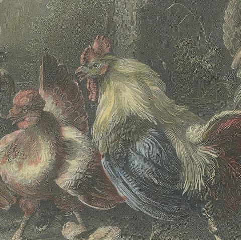 Defending the Flock: The Poultry's Stand Against the Hawk, Hand-colored ca.1860, close-up 6
