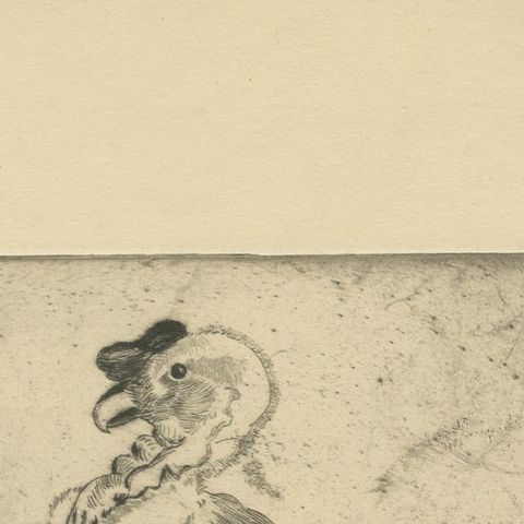 Vulture Etching, Natural History Print of the Andean Condor, ca.1880, close-up 5