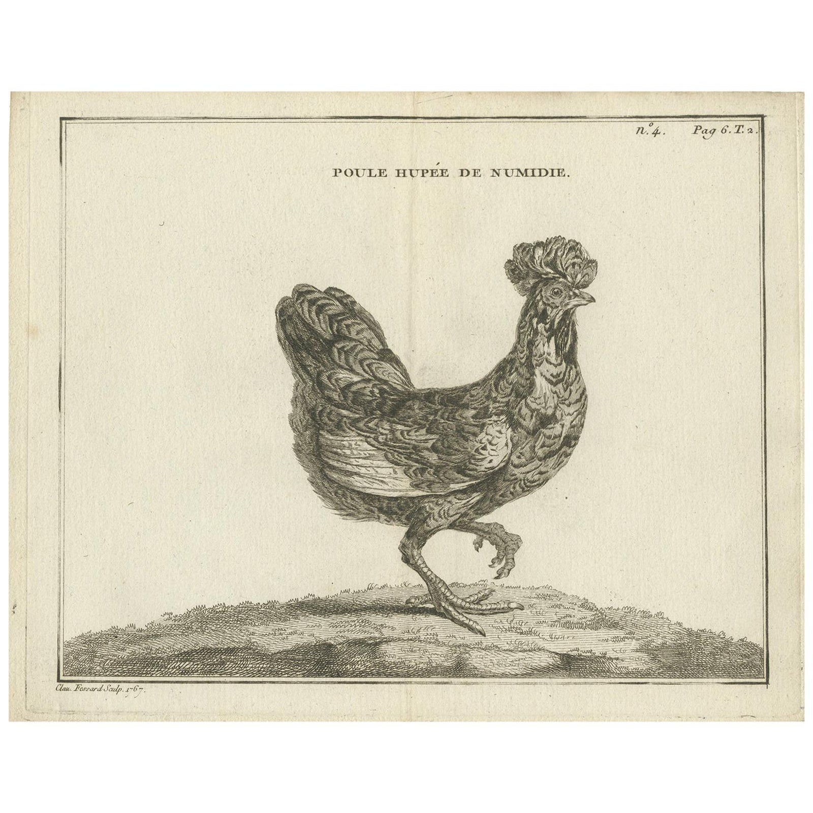 Antique Bird Print of a Numidia Hen by Fessard, 1819