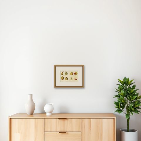 Set of 2 Original Antique Prints of various Pears and Apples, c.1835, shown framed on a wall
