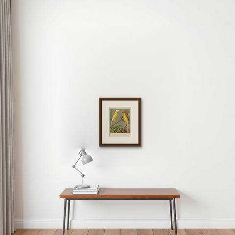 Antique Bird Print of the Manchester or Lancashire Coppies, circa 1880, shown framed on a wall