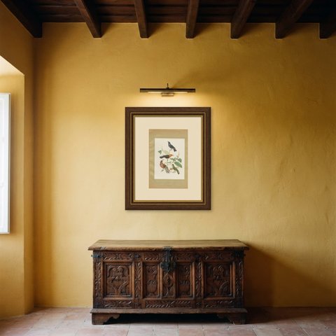 Blackbirds and Marsh Birds, Brazilian Bird Print, Descourtilz, 1944, shown framed in a room
