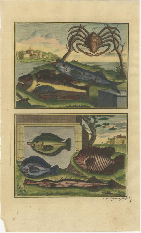 Set of 8 Colored Antique Prints of Various Fishes and Crustaceans, view 4