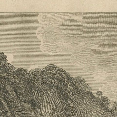 Antique Print of a Sea Otter of Nootka Sound in British Columbia, Canada, 1801, close-up 3