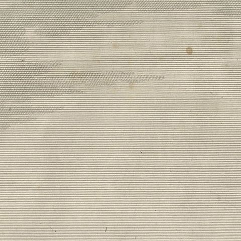 Early 19th Century Antique Print of a Gazelle Animal by Miger 'c.1805', close-up 1