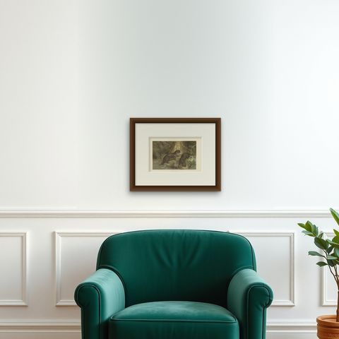 Antique Print of Otters by Brehm 'c.1890', shown framed on a wall