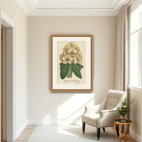 Decorative Original Antique Flower Print of the Rhododendron Carneum, c.1880, shown framed in a room