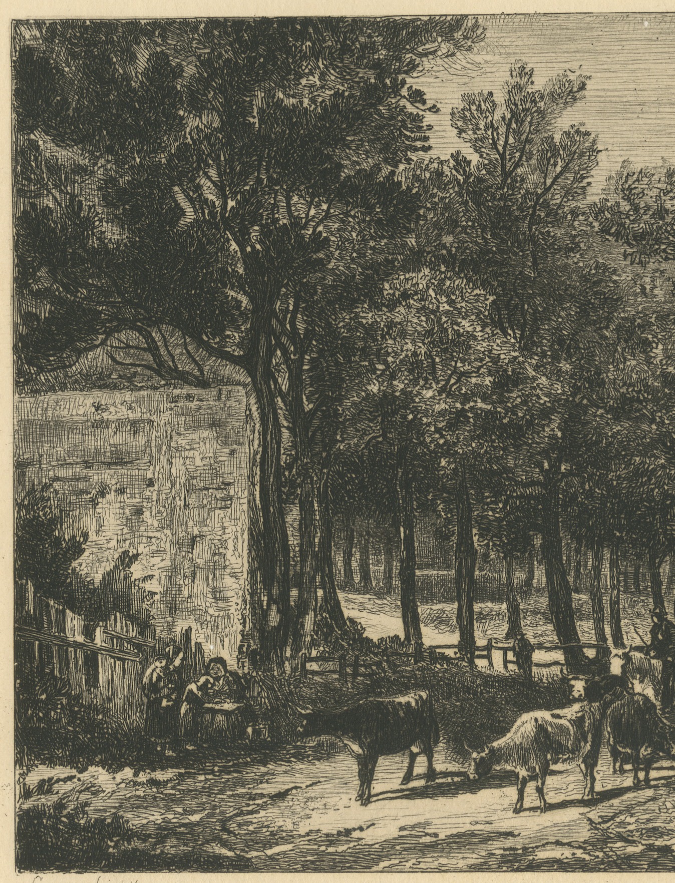 Lane with Cattle after John Crome, Antique Etching by Chattock, circa 1875, view 3
