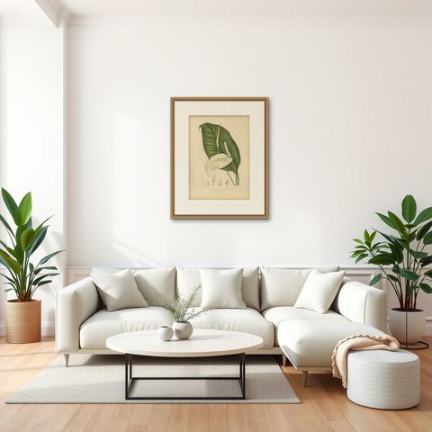 Original Antique Peace Lily Botanical Chromolithograph by Hoola van Nooten, 1880, shown framed in a room