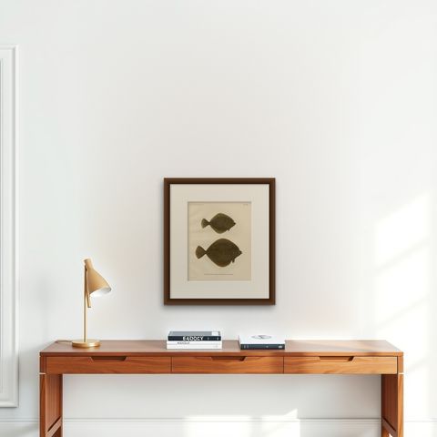 Flounder and Plaice - Vibrant Scandinavian Flatfish Lithograph, 1895, shown framed on a wall