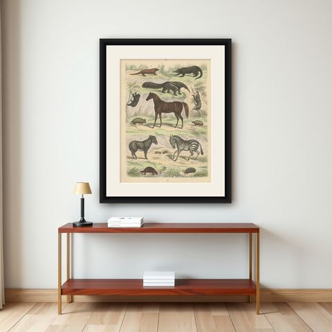 Mammals Print: Horse, Zebra, Anteater & Pangolin, Antique 1867, shown framed on a wall