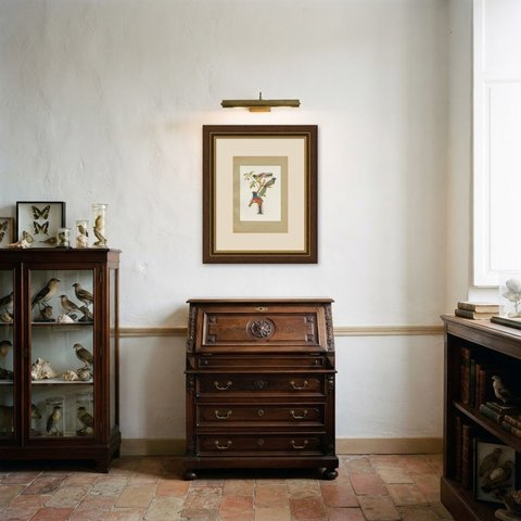 Trogons and Jays, Brazilian Bird Print, Descourtilz, 1944, shown framed in a room