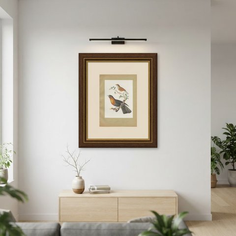 Thrushes, Brazilian Bird Print, Descourtilz, 1944, shown framed on a wall