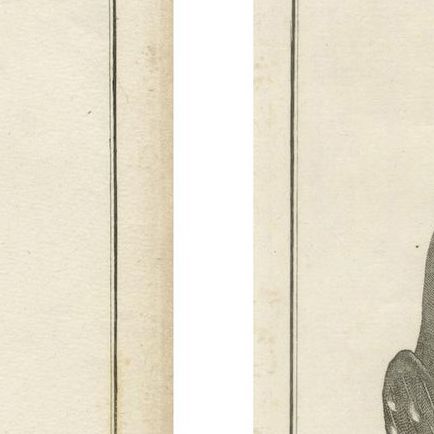 California Birds, Northern California Honeyeater & Port Français Thrush, c.1798, close-up 3