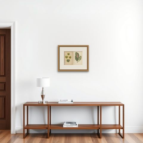 Contrasts in Nature: Pelargonium and Brassica - Botanical Art from 1880, shown framed on a wall