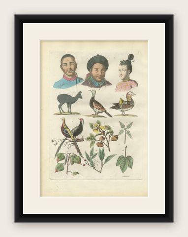 China Figures, Fauna & Flora, Hand-Colored Antique Print, Ferrario, Italy 1815, shown framed