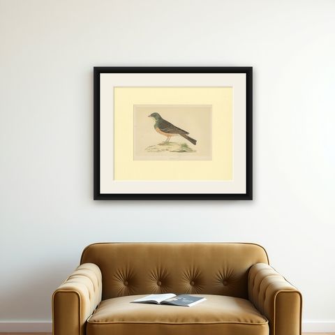 Antique Bird Print of Ortolan, shown framed on a wall