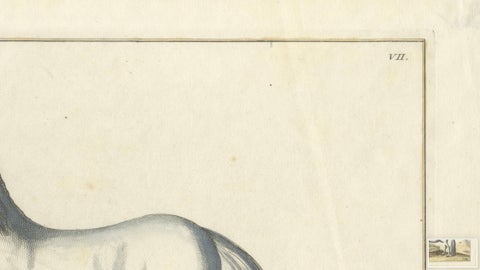 Baron Eisenberg Arabian Horse, “L’Arabe” Equestrian Engraving, 1727, close-up 4