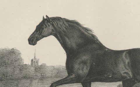 Volunteer & Selim, Pair of Antique Thoroughbred Horse Lithographs, c.1840, close-up 4