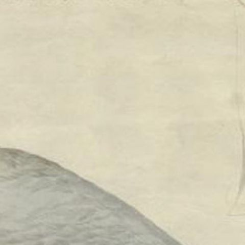 Antique Bird Print of the European Herring Gull by Sepp & Nozeman, 1797, close-up 1