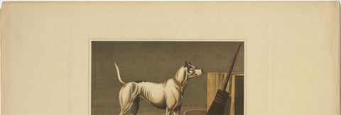 Antique Aquatint of a Dog named 'Crab' by J. Clark, circa 1820, view 5