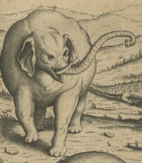 Original Copper Engraving of Various Celebrated Animals in India by De Bry, 1601, close-up 5