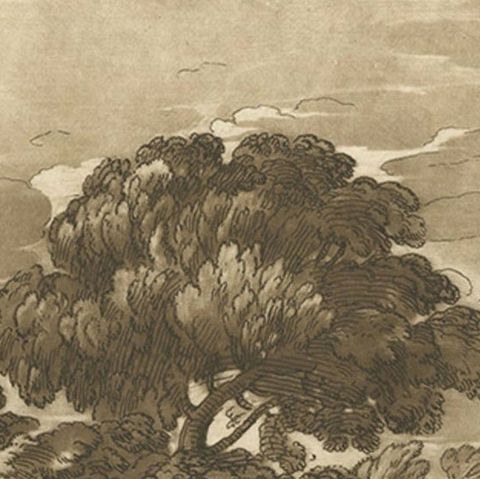 Rare Original Antique Engraving of a Landscape with Cattle in England, 1775, close-up 1