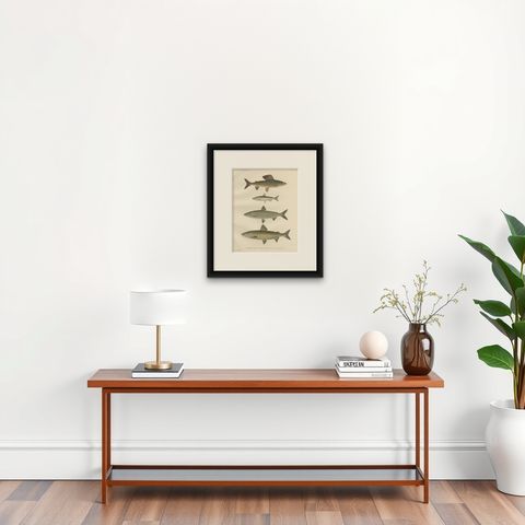 Scandinavian Fishes: Grayling and Whitefish in Exquisite Lithographic Detail, shown framed on a wall