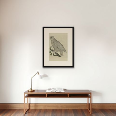 Antique Bird Print of the Snowy Owl by Sepp & Nozeman, 1809, shown framed on a wall