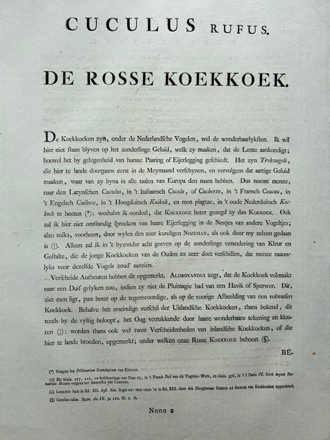 Rufous Cuckoo, Hand-Coloured Engraving with Dutch Text, 1770–1829, view 10