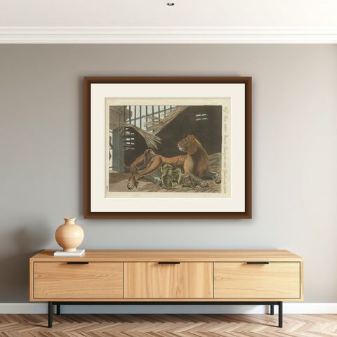 Original Antique Print of a Lioness and Her Cubs by Bertuch, 1810, shown framed on a wall