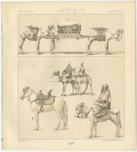 African Transport & Camel Litter, Racinet Afrique Plate, 1888, view 2