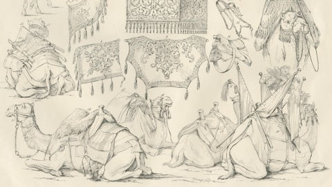 Antique Camel & Caravan Equipment Studies from Maximilian in Bavaria, 1846, close-up 3