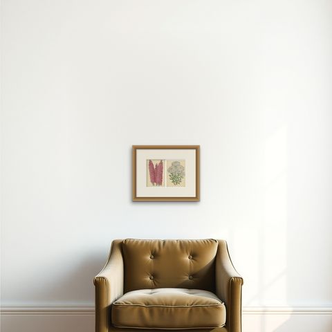 Set of 2 Antique Botany Prints by Reeve 'c.1870', shown framed on a wall