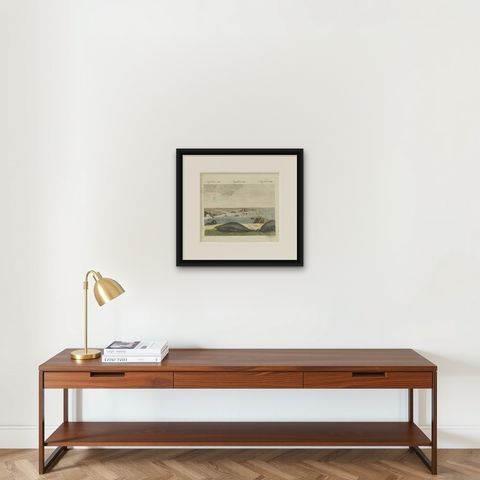 Elephant Seals on a Rocky Shore, Antique Bertuch Print, Vienna, circa 1809, shown framed on a wall