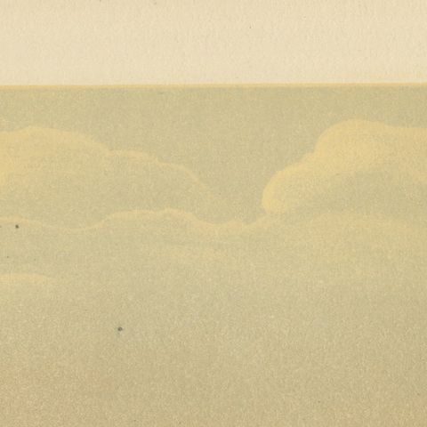 Greenland Whale, Antique Marine Chromolithograph, Royal Natural History, 1894, close-up 6