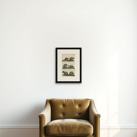Antique Print of various Mammals Porcupine, Capybara, Otter, Monkey etc., 1657, shown framed on a wall