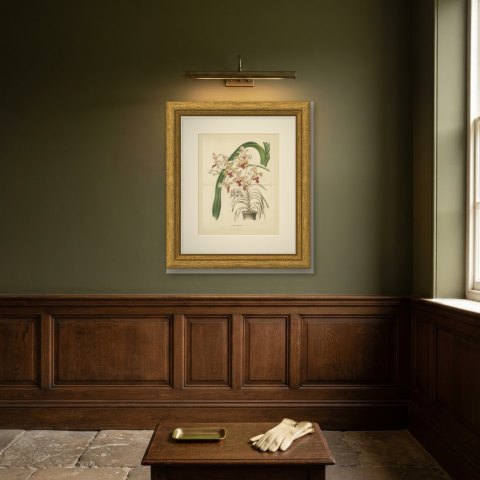 Vanda Suaveolens Orchid in a Pot, Chromolithograph Plate I, 1859, shown framed on a wall