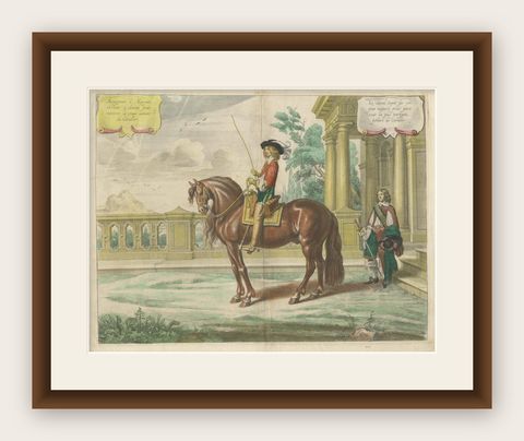 Equestrian Dressage Horse Print Original Handcolored Antique Engraving , 1743, shown framed