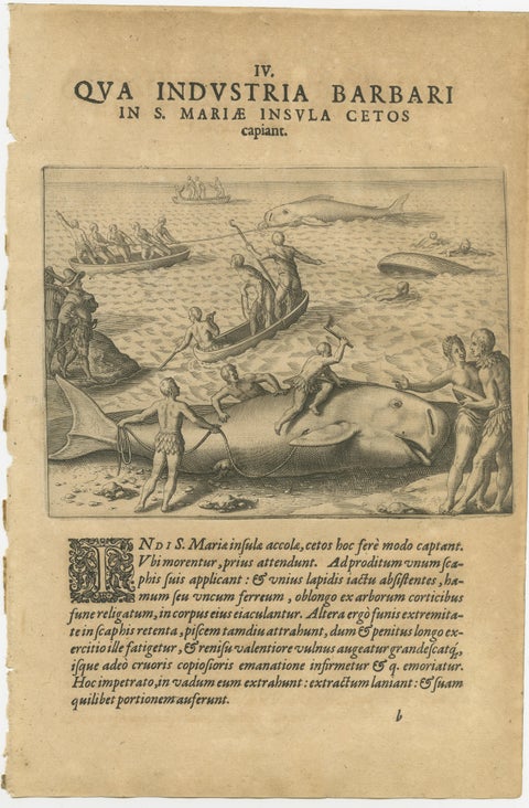Exotic Encounters: Giant Crabs, Tortoises, Whales, and Cockfights - De Bry, 1598, view 5