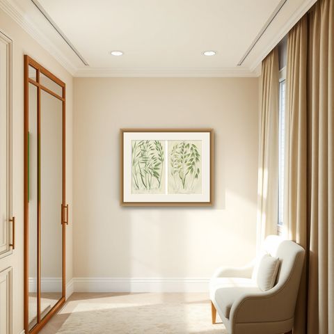 Sweet Cyperus and Brown Cyperus Botanical Prints, Hand-Colored, 1873, shown framed in a room
