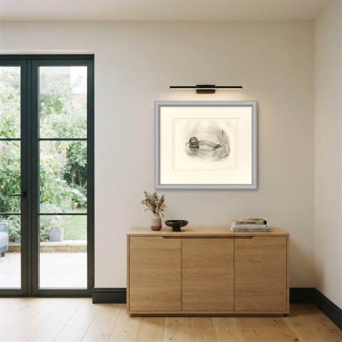 Pochard Drake Swimming by Reeds, Plate CLXXX after Lilian Medland, c. 1909, shown framed in a room