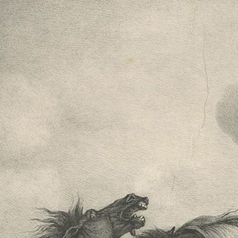Original Antique Lithograph of a Horse Showing the Passion 'Rage & Agony', 1827, close-up 2