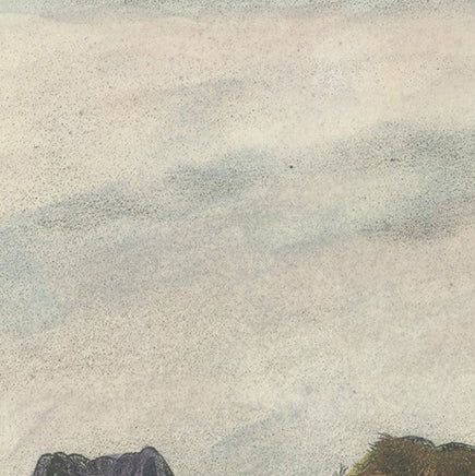 19th Century Hand-Colored Lithograph of Owls from an Old Dutch Drawing, 1860, close-up 5