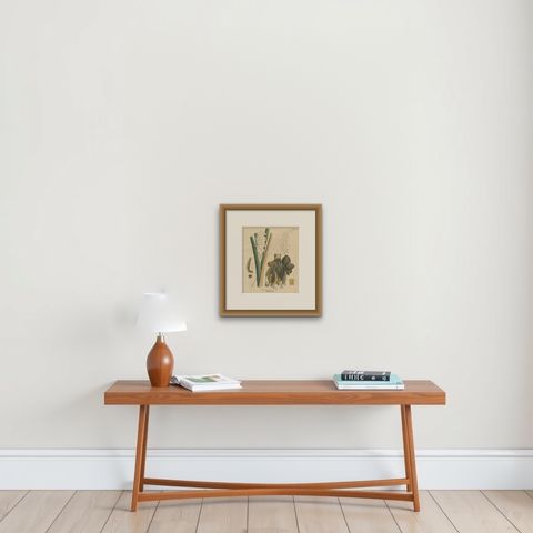 Antique Turmeric Botanical Print, Curcuma Longa, Hand Colored, c.1831, shown framed on a wall